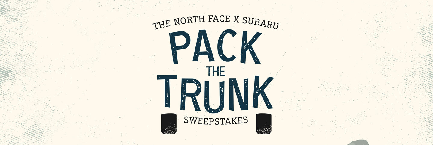 northfaceheader
